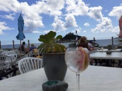 Gin-credible view